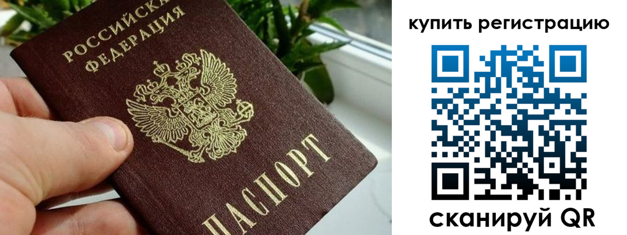 прописка гарантия в Клине